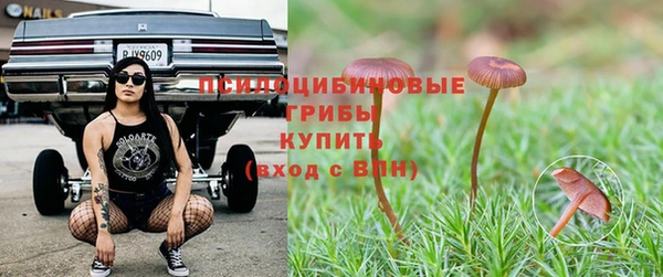 mdpv Аркадак