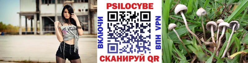 Купить где  Кимовск  Галлюциногенные грибы мицелий 